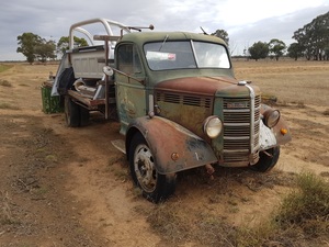 Bedford truck