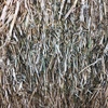 Canola Hay 8x4x3  Approx 350 bales