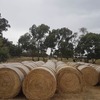 Irrigated Pasture Hay for sale