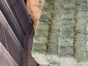 Lucerne small squares for sale .