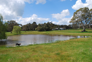 Rural acreage close to Hamilton . 100 Acres