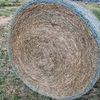 Lucerne Hay - Round Bales
