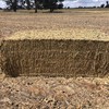 250T Canola Hay 600kg approx 8x4x3 Bales ##PRICE REDUCED##