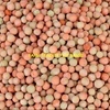 Semi Load Field Peas Wanted 