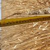 Barley Straw 8x4x3 Bales from Stripper Front