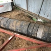 Connor Shea Seeder with roller