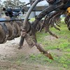 Pull Mounted Simplicity Air Seeder