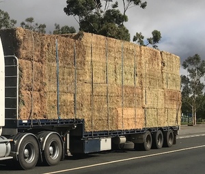 Ryegrass/Clover Hay For Sale in 8x4x3's Delivered Only!!!