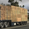 Ryegrass/Clover Hay For Sale in 8x4x3's Delivered Only!!!