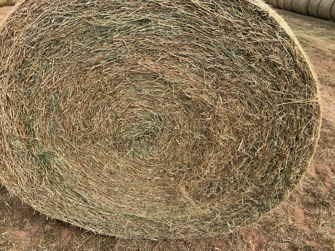 Rye/Clover & Turnip Hay 5x4