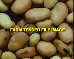 Bendoc Beans 