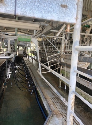 Fully Equipped Dairy