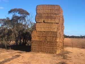 40 Bales Vetch Hay 650kg 8x4x3