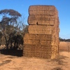 40 Bales Vetch Hay 650kg 8x4x3