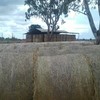 40 x Clover & Rye Grass 5x4 Round Bales 