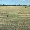 500mt Barley Hay 8x4x3 Bales 'New Season'