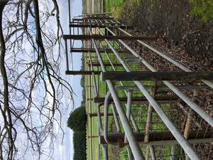 Cattle Yards