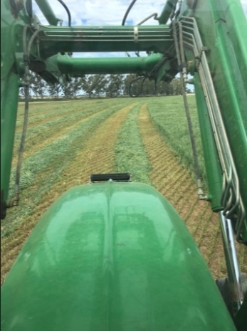 Vetch & Oaten Hay  60/40 mix   100 mt