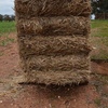 Barley & Wheat Straw for Mulch/Bedding