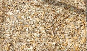 Organic oat cleanings