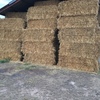 Oaten Hay 8x4x3