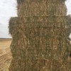 Oaten Hay For Sale in 8x4x3's