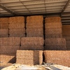 Canola Hay 8x4x3  Approx 350 bales