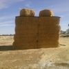 Organic Oaten Hay . USDA and NOP Accredited .  