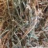 Oaten / Rye / Lucerne Rolls For Sale - Shedded -  New Season
