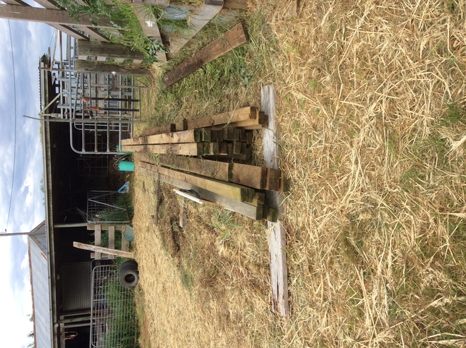 Under Auction - Assorted Treated Pine Timber - 2% + GST Buyers Premium On All Lots 