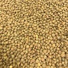Hurricane Lentils For sale