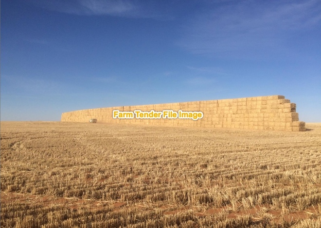 Barley straw  100 mt. shedded
