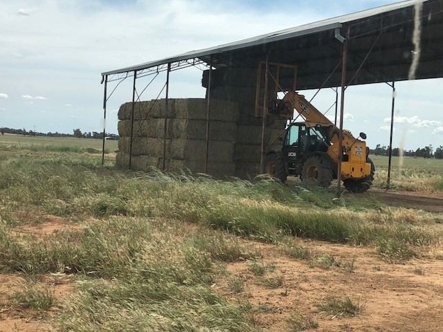 250T Canola Hay 600kg approx 8x4x3 Bales ##PRICE REDUCED##