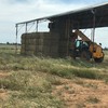 250T Canola Hay 600kg approx 8x4x3 Bales ##PRICE REDUCED##