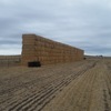 795 x Bales of Header Trailed Barley Straw 8x4x3, 480+ Kg's - Sold By The Ton - 500 kg ave