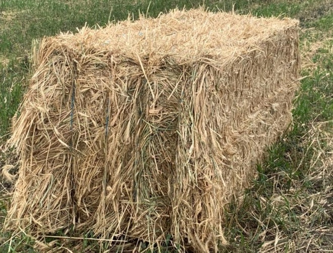 300mt Wheaten Hay 330-350kg 8x3x3 Bales