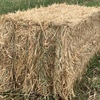 300mt Wheaten Hay 330-350kg 8x3x3 Bales