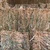 Oaten / rye small square bales