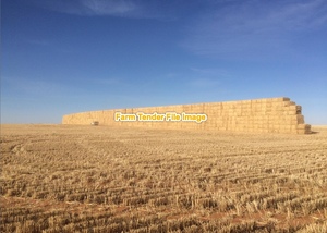 350mt Barley Straw 550kg 8x4x3 Bales