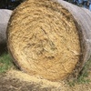 Oaten/Ryegrass Round Hay Bales For Sale