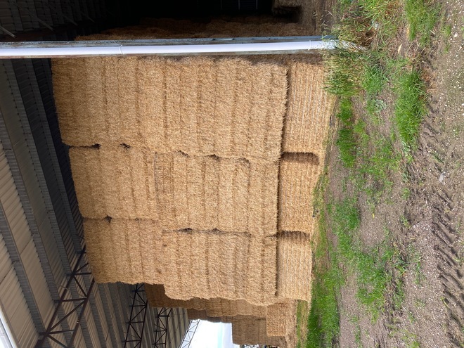 WHEATEN STRAW 8X4X3 BALES