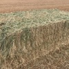Oaten hay