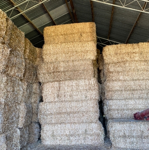 Shedded clover hay - squares