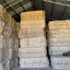 Shedded clover hay - squares