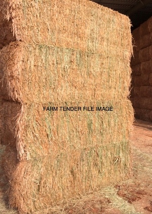 100 x Bales of 8x4x3's Canola Hay For sale Ex or can deliver