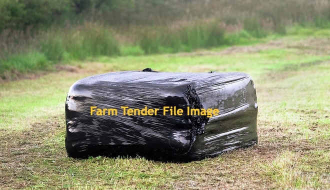 Canola Silage  6x4x3 Bales