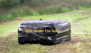 Canola Silage  6x4x3 Bales