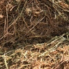 Vetch Hay Rolls For Sale