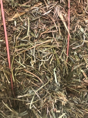 88mt Vetch Hay 650kg 8x4x3 Bales 'New Season' + Freight