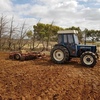 New Holland 4135 Tractor